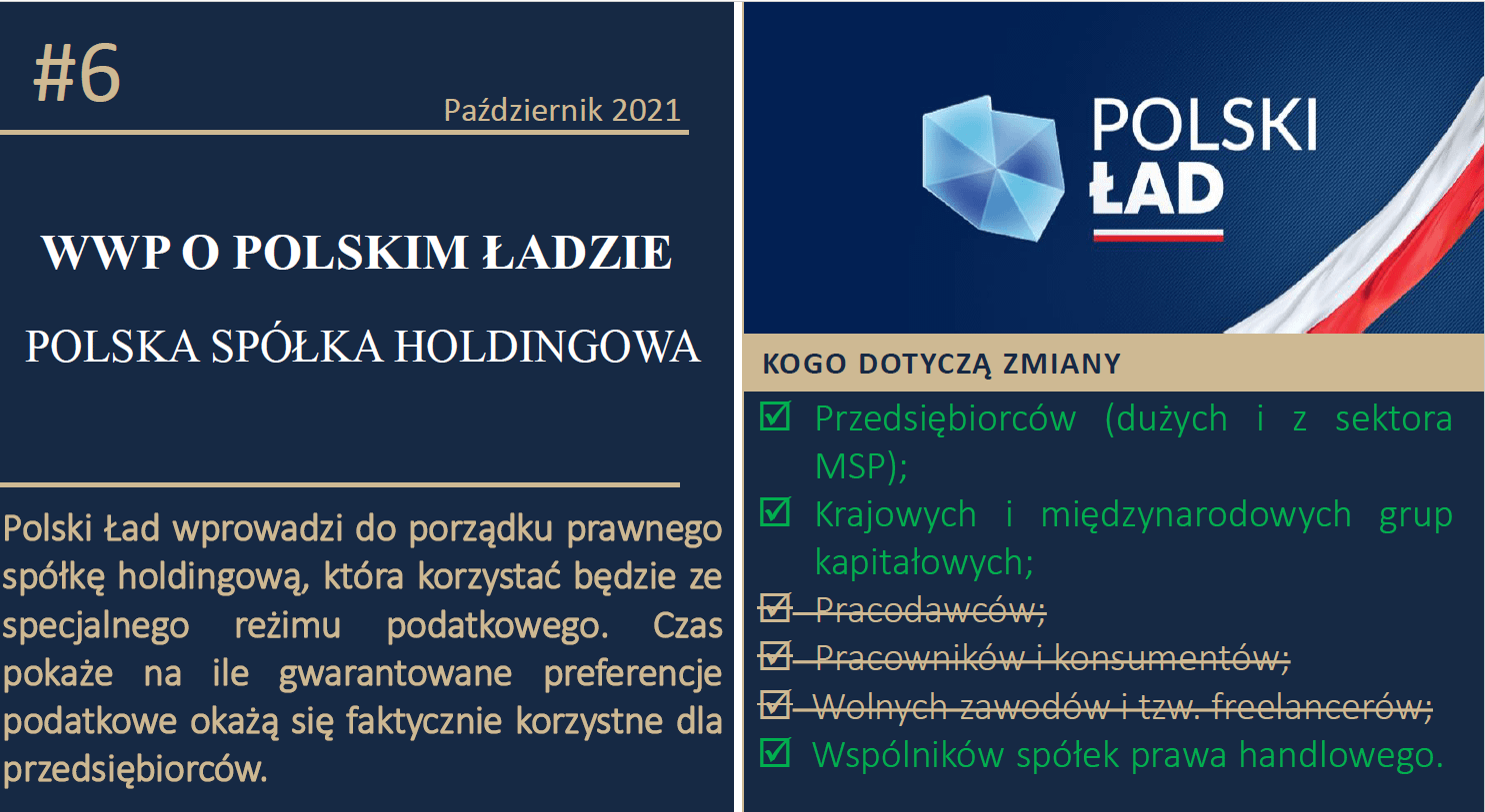 Polska spółka holdingowa